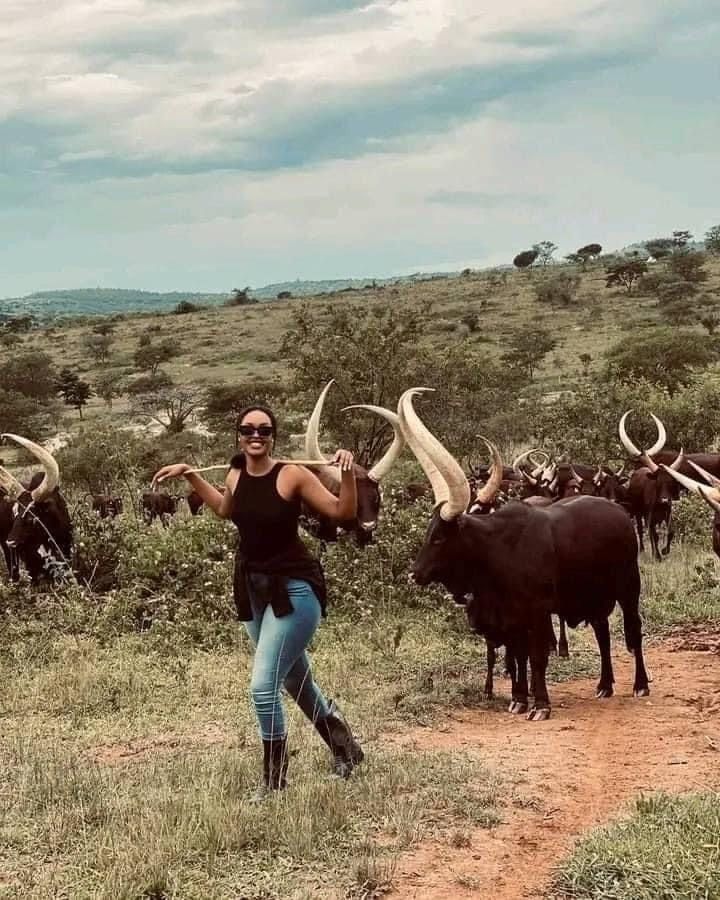 Pasture Walk
